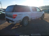 Ford F-150 Fx4/Harley-Davidson/King Ranch/Lariat/Platinum/Xl/Xlt 1FTFW1EV0AFD94035 photo