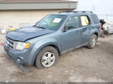 Ford Escape Xlt 1FMCU9DG0AKB22114 снимка