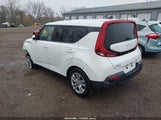 Miniaturka zdjęcia 3