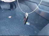 Miniaturka zdjęcia 11