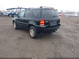 Ford Escape Limited 1FMYU94177KB79145 снимка