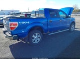 Ford F-150 Xlt 1FTFW1ETXCFB33495 снимка