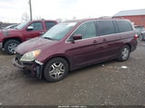 Honda Odyssey Ex-L 5FNRL38777B421632 снимка