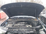 Miniaturka zdjęcia 10