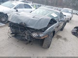 Miniaturka zdjęcia 2