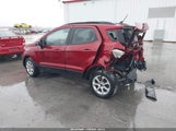 Miniaturka zdjęcia 3