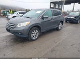 Honda Cr-V Ex 2HKRM4H52EH630146 снимка