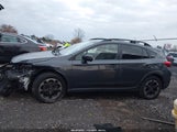 Subaru Crosstrek Premium JF2GTAEC0M8359548 снимка
