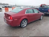Chevrolet Malibu 1Lt 1G1ZC5E19BF343086 снимка