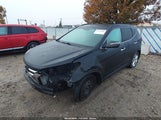 Miniaturka zdjęcia 2