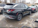 Hyundai Tucson Hybrid Blue KM8JBDD12SU341206 снимка