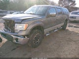 Ford F-150 Fx4/Harley-Davidson/King Ranch/Lariat/Platinum/Xl/Xlt 1FTFW1EV3AFA98264 fotografie