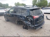 Miniaturka zdjęcia 3