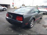 Ford Mustang V6 Deluxe/V6 Premium 1ZVHT80N385102263 photo