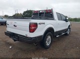 Ford F-150 Fx4/Harley-Davidson/King Ranch/Lariat/Platinum/Xl/Xlt 1FTFW1EV6AFB24369 photo