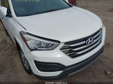 Hyundai Santa Fe Sport 2.4L 5XYZT3LB0FG237488 fotografie