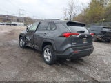 Toyota Rav4 Xle JTMP1RFV5KD515638 снимка