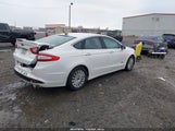 Ford Fusion Energi Titanium 3FA6P0SU9DR308981 снимка