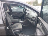 Miniaturka zdjęcia 5