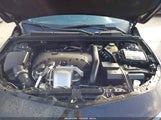 Miniaturka zdjęcia 10