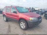 Ford Escape Xlt 1FMCU03105DA26924 fotografie