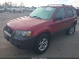 Ford Escape Xlt 1FMCU03105DA26924 снимка