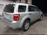 Ford Escape Xlt 1FMCU0DG8BKA69112 fotografie