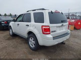 Ford Escape Xlt 1FMCU03729KB26884 снимка