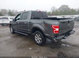 Ford F-150 Xlt 1FTEW1E57JFD82802 снимка