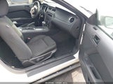 Ford Mustang V6 1ZVBP8AM8B5130213 снимка