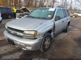 Chevrolet Trailblazer Ls 1GNDS13S662106116 снимка