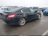 Nissan Maxima 3.5 Sv 1N4AA51E69C822425 снимка