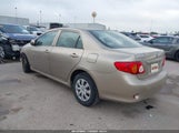 Toyota Corolla Le 1NXBU40E39Z064888 снимка