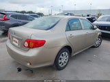 Toyota Corolla Le 1NXBU40E39Z064888 снимка