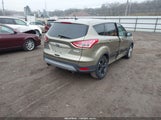 Miniaturka zdjęcia 4