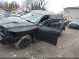Miniaturka zdjęcia 2