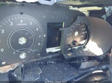 Miniaturka zdjęcia 7