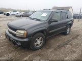 Chevrolet Trailblazer Ls 1GNDT13S632140131 снимка