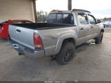 Toyota Tacoma Base V6 3TMLU42N77M010999 fotografie