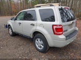 Ford Escape Xlt 1FMCU03739KB69548 снимка