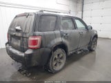Ford Escape Xlt 1FMCU03198KC73021 снимка