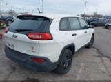 Miniaturka zdjęcia 4