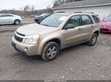 Chevrolet Equinox Ls 2CNDL13F586342475 снимка