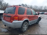 Ford Escape Xlt/Xlt Sport 1FMYU93177KA23544 photo