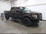Ford F-150 Fx4 1FTFW1ETXCKD86307 снимка