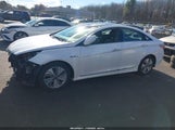 Hyundai Sonata Hybrid Limited KMHEC4A46FA135617 photo