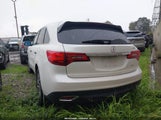 Acura Mdx Technology Package 5FRYD4H46FB028559 fotografie