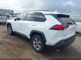 Toyota Rav4 Xle 2T3W1RFV5PC243423 снимка