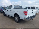 Ford F-150 Xlt 1FTFW1CT7DKD36453 снимка