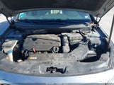 Miniaturka zdjęcia 10